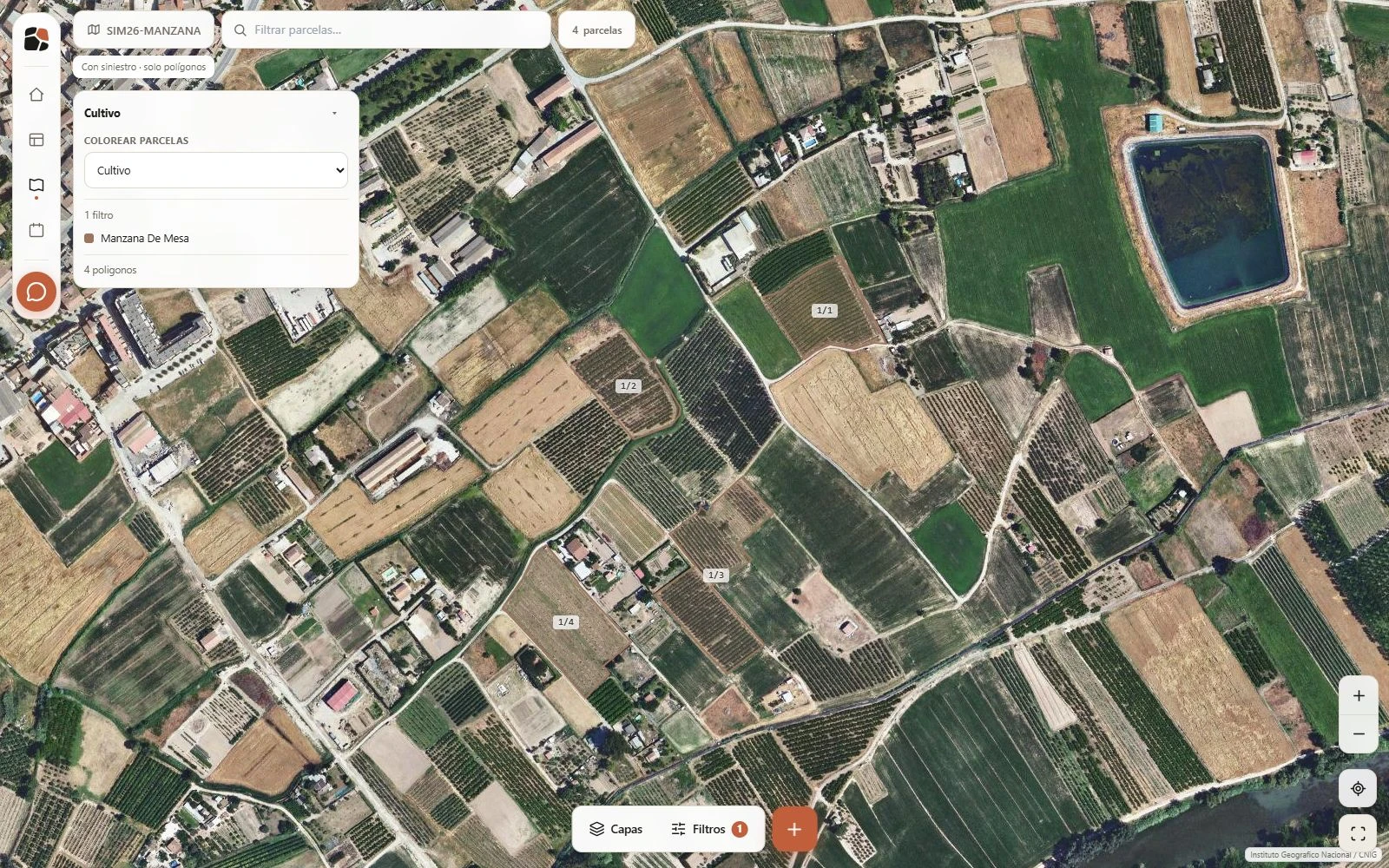 Mapa de Amber en el ordenador: cuatro parcelas SIGPAC perimetradas sobre satélite PNOA